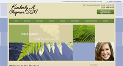Desktop Screenshot of chapmandds.com